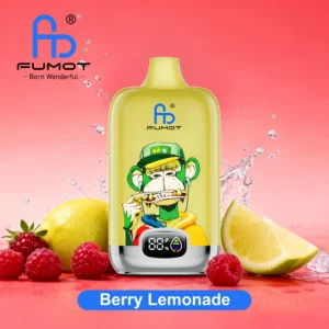Berry Lemonade