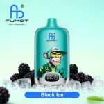 Black Ice