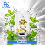 Fumot Digital Box 12000 Cool Mint new 01