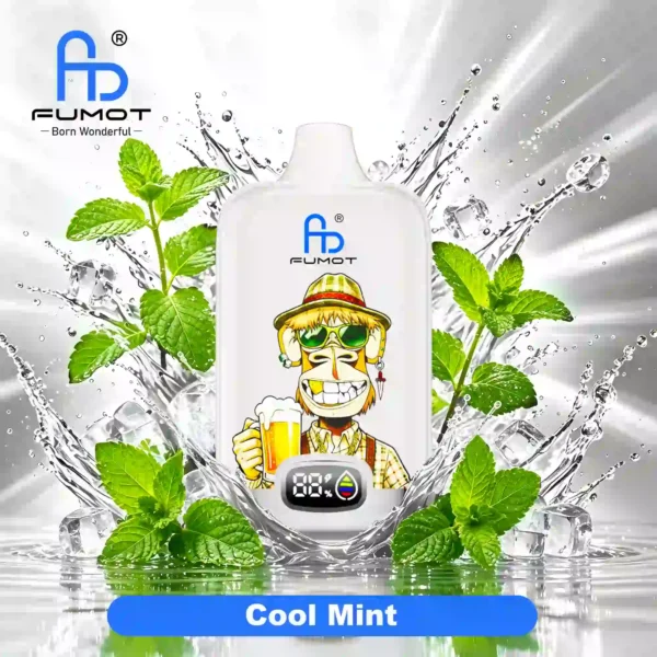 Fumot Digital Box 12000 Cool Mint