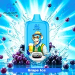 Fumot Digital Box 12000 Grape Ice new 01