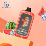 Watermelon lce