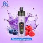 Blueberry Raspberry-3-fumot