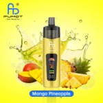 Mango Pineapple-3-fumot
